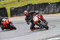 Evening Adv_Mid Group Red Bikes